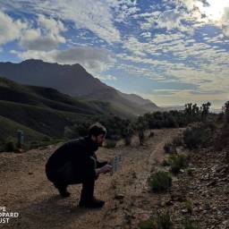 Servicing camera traps